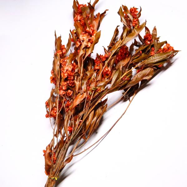 Natural Green Preserved Eucalyptus Leaves Real Touch Feel & Eco Friendly