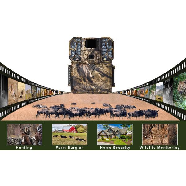 камера следа звероловства живой природы 60fps 32MP Bluetooth 4K FHD 1080P