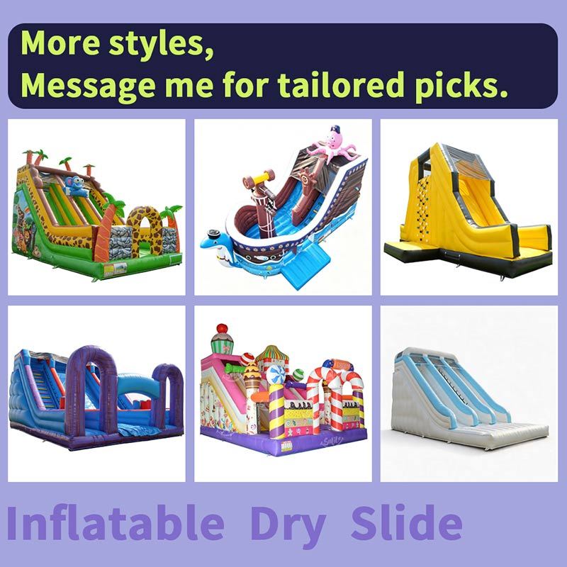 Commercial 2 Lane Inflatable Dry Slide, 0.55mm PVC Racing Slide for Kids & Adults