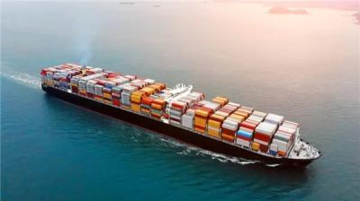 FOB EXW International Freight Logistic China To Europe Warehouse