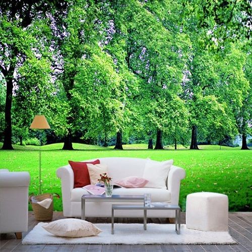 Green Fashion Custom Size Interior Decoration Wallpapers, Whole Wall Decals XB04-008S