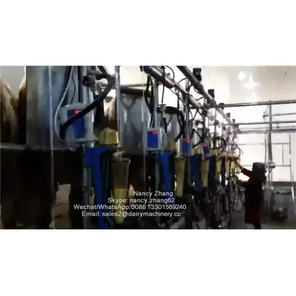 Flow Milk Meter Herringbone Milking Parlor System with ACR Automatic Cluster Remover and Waikato Milk Meter for Cows