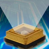 Microplaqueta UV 1W 0.5W 300NM 310NM 315NM do diodo emissor de luz do suplemento animal SMD ao cálcio