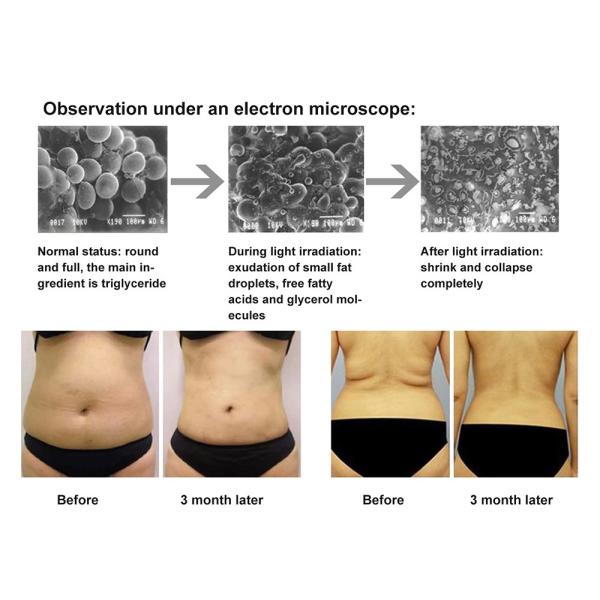 Терапия 880nm 660nm красного света машины терапией фотона пользы лошади кота собаки