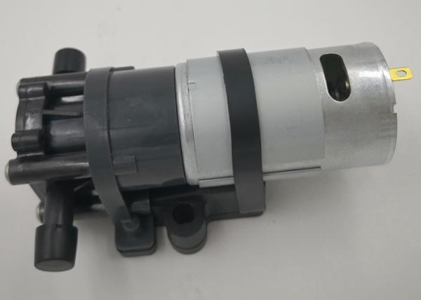 Low Pressure Mini Gear Pump Electric Power 2L/M Flow Longer Endurance Lifetime