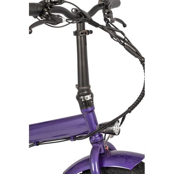 Adult Electric Folding Bike with Rear Hub Motor LCD Display Kenda Tire and Alloy Frame