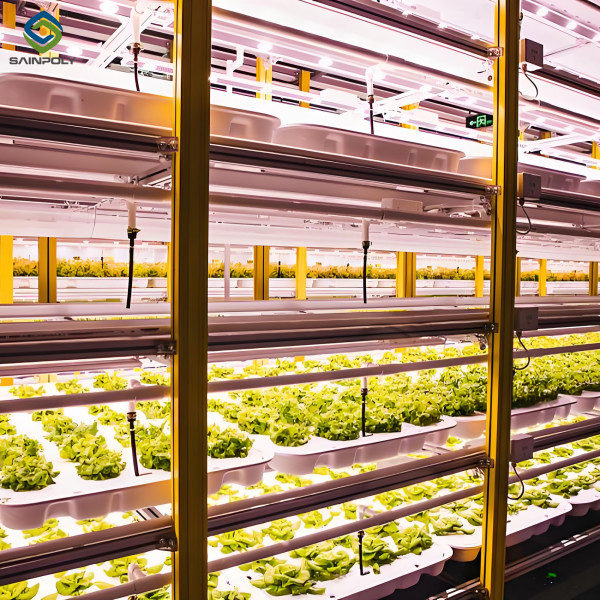 Large Size Commercial Lettuce Greenhouse With Hydroponic Growing Systems