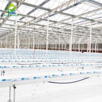 système Soilless de poissons et d'usine de culture de système commercial d'Aquaponics de longueur de 5.8m