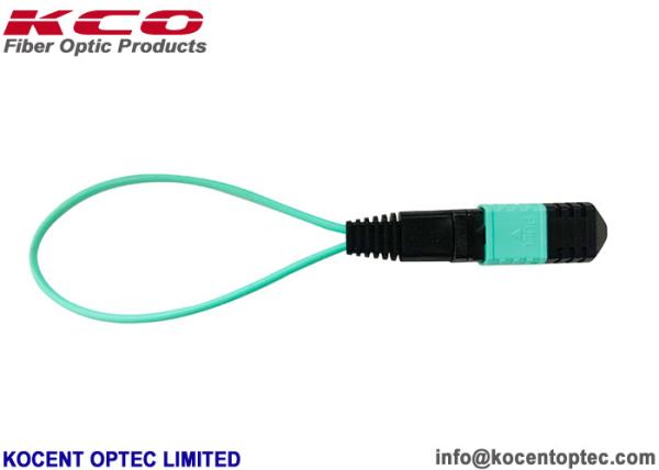 OM3 OM4 MPO MTP en boucle arrière LSZH Multimode Mini Fiber Patch Cord