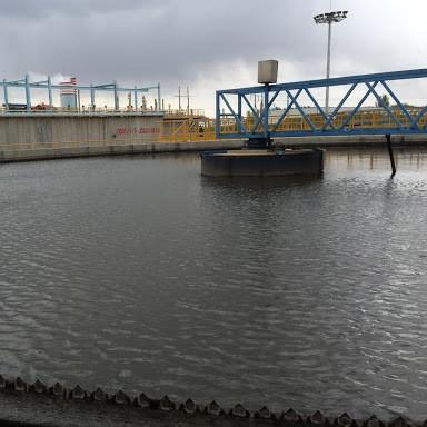 Peripheral Transmission Sludge Scraper System , Stainless Steel Bottom Sludge Scraper