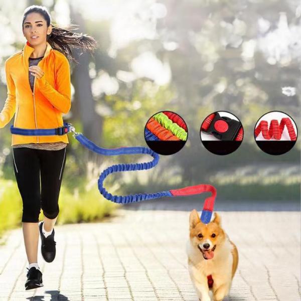 Leashes para perros de mascotas ajustables sin manos con logotipo personalizado de cintura larga cuerda de nylon doble