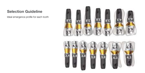 Титан Premill Dentium Superline® имплантирует ISO 9001 13485 пробела держателя Arum Dess