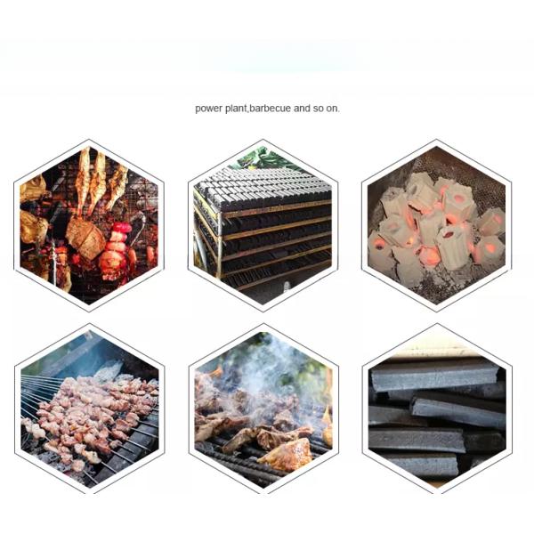 Versatile Coal Dust Activated Carbon Rod Extruder Machine for Energy Mining Industry