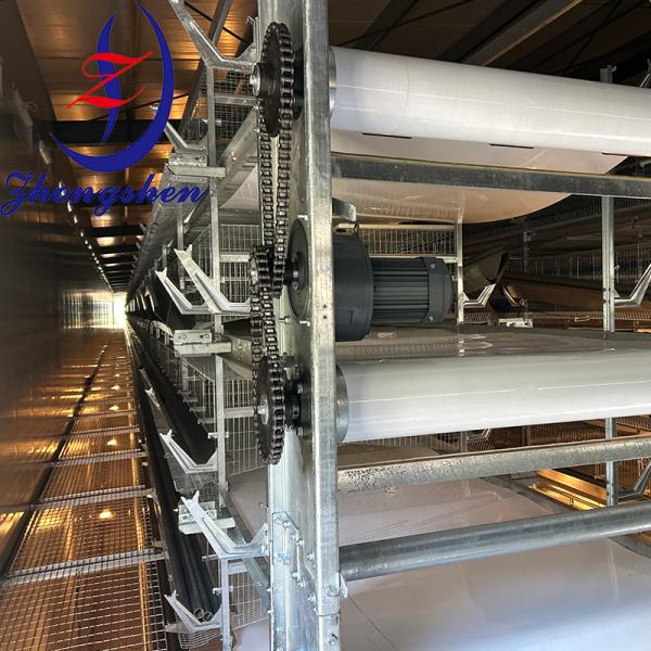 Customization Poultry PP/PE Manure Removal Belts from Zhongshen