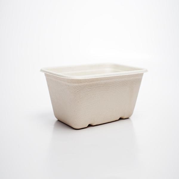 Customized Wholesale Eco-friendly Packaging Biodegradable Corn Residue Disposable Takeaway Food Box Cover