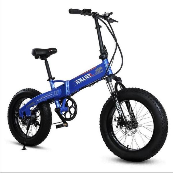 750w 20 Inch Fat Tire Electric Bike