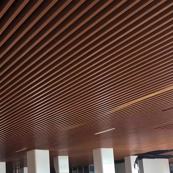 Panneaux muraux de plafond en aluminium conçus en 3D