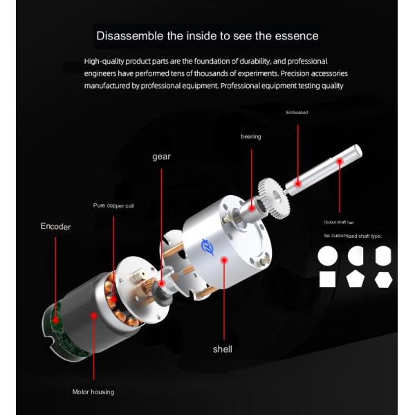 мотор шестерни червя DC 24v 10 лошадиных сил вал 14 дюймов ориентированный на заказчика одиночный