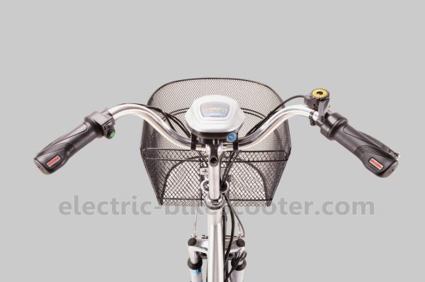 25km/H Pedal Assist Electric Trike 48V 350W Brushless Motor