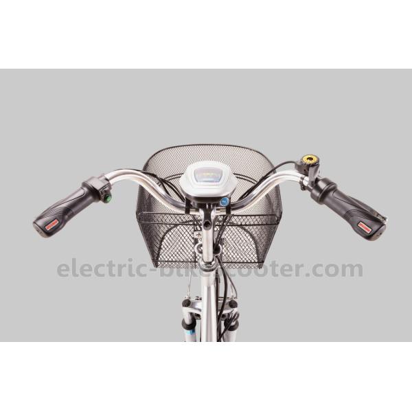 25km/H Pedal Assist Electric Trike 48V 350W Brushless Motor