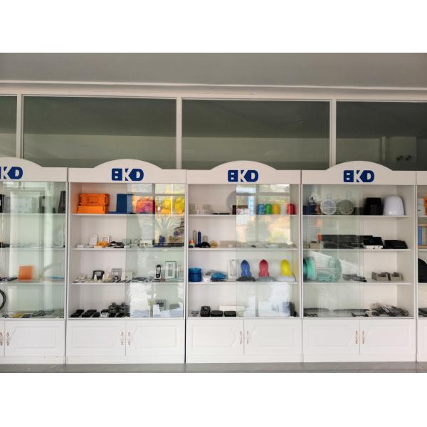 Sichuan Bokda Precision Molding Co., Ltd.