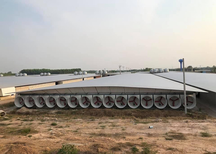 100 сельскохозяйственное оборудование Piggery ручки свини 2.4*0.6m