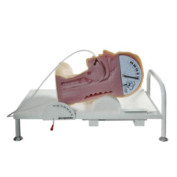 Swallow Mechanism Simulator clinical trial simulation for Learning and Training