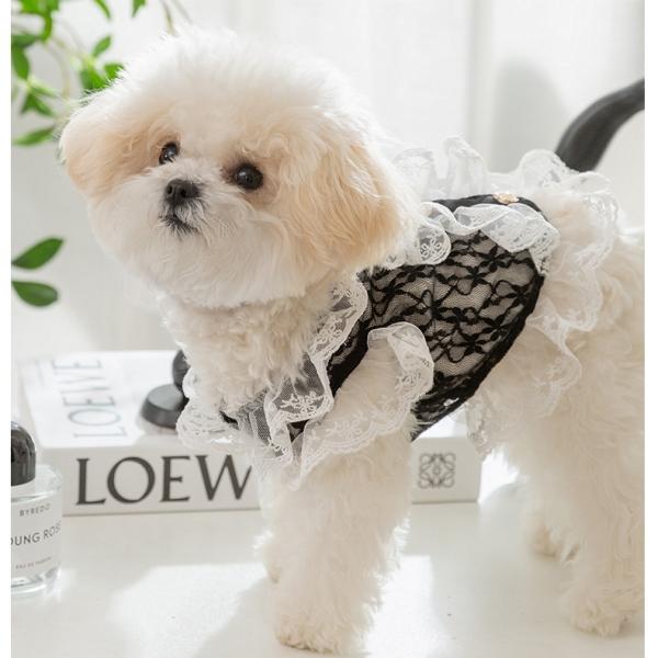 Custom OEM Cat Wearable Clothes Adjustable Orthopedic Multi Scene Pressure Relief