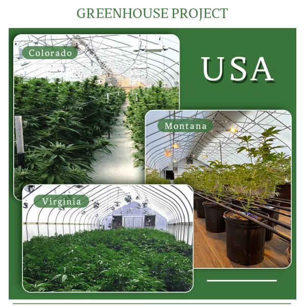 Теплица СИД светлая безопасная с автоматической системой вентиляции и системой затенения