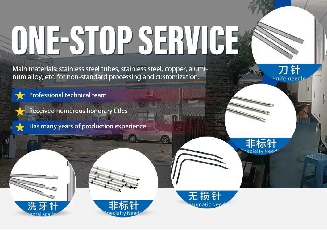 Ensemble d'aiguilles non standard médicales pour des traitements de beauté de qualité