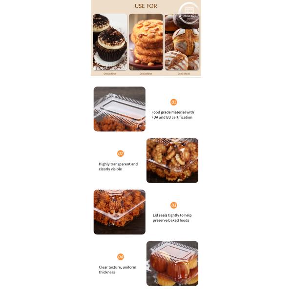 Embalagem de bolhas de bolo PET transparente descartável