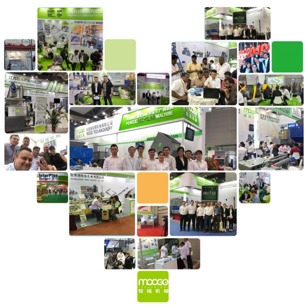 Ligne de lavage de bouteilles d'eau en PET, concasseur, déchiqueteur, machine de recyclage