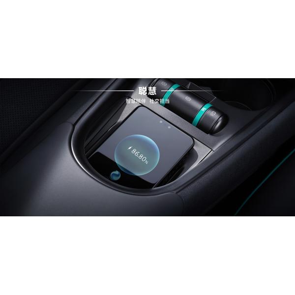 4WD 2024 BYD Dolphins Electric Car Compact New Energy Vehicle