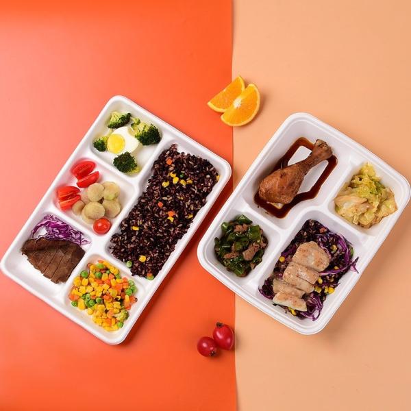 OEM/ODM отлитое в форму печатание коробки упаковки еды пульпы упаковывая бумажное