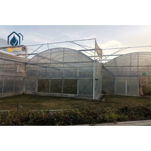 All Season Commercial Multi Span Greenhouse with Supplemental LED Grow Light Integration...