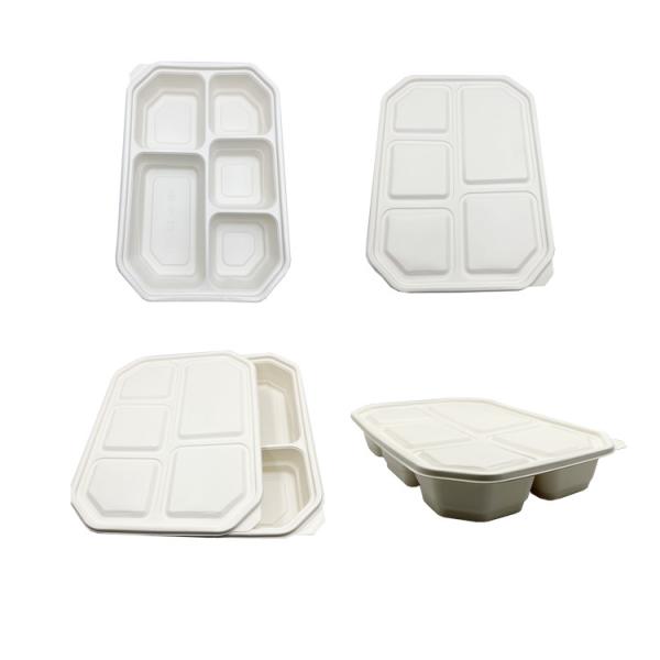 PLA Sheet For Thermoforming Compartment Polylactic Acid Sheet Food Container PLA Plastic Film Lunch Box