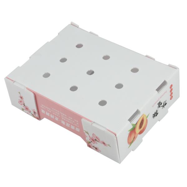 White Plastic Corrugated Containers Shockproof Corrugated Storage Containers For Fruit Vegetable