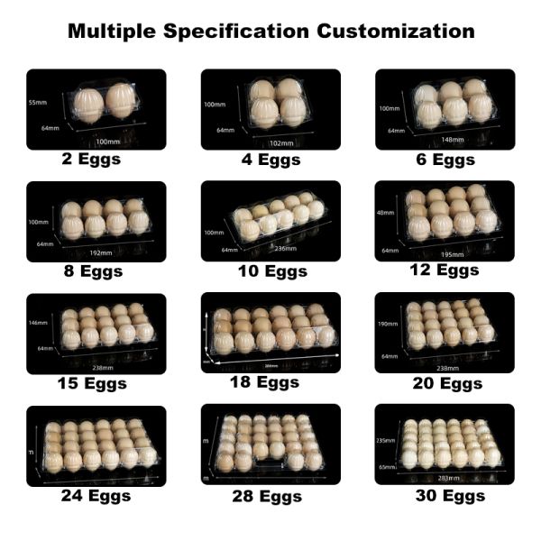Transparent Plastic Egg Trays Egg Box Free Shipping Plastic Egg Tray with Handle Hot Selling Lightweight Portable Egg Carrier Durable 28/30-Egg Trays Handheld Blister PET Plastic High Visibility Egg
