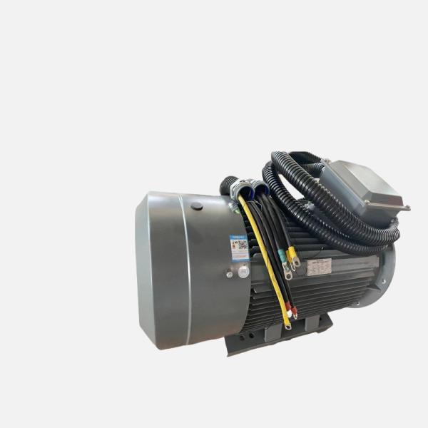 Motor síncrono de baixa tensão com ímã permanente ((PMSM) série HCP ((3000r)