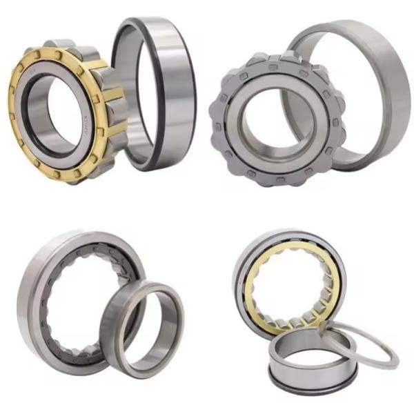 Stable Performance N219EM NU219EM NJ219EM Cylindrical Roller Bearing with Copper Cage