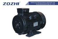 7.5HP 3 Ph moteur à arbre creux 5,5 kW IC411 IP55 classe de protection Pour les applications industrielles