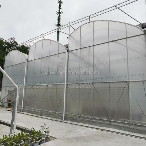 Tropical Sawtooth Hydroponic Greenhouse Kit Customizable 200micron Film Type