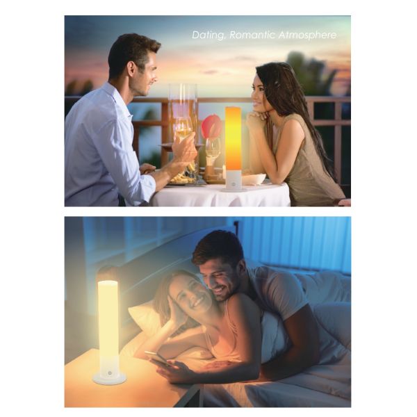 Dual Color Portable Table Lamp 2700K Rechargeable Portable Lamp 85V - 265V