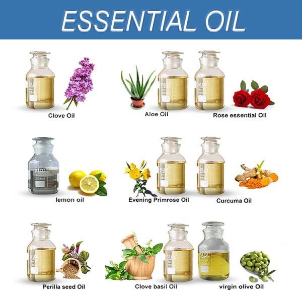 оборудование извлечения травы масла экстрактора CBD центрифуги биомассы пара 280kg/H