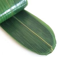 Decorações de bambu selvagens naturais das folhas para placas japonesas do rolo do sushi
