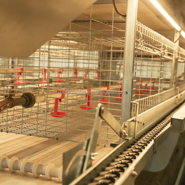 Multi Tiers H Type Chicks Brooder Cage Small Chicken Cage Fully Automatic