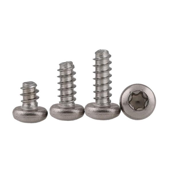 Torx T25 F Pan Head Self Drilling Screws DIN Standard with Grade Steel/STAINLESS