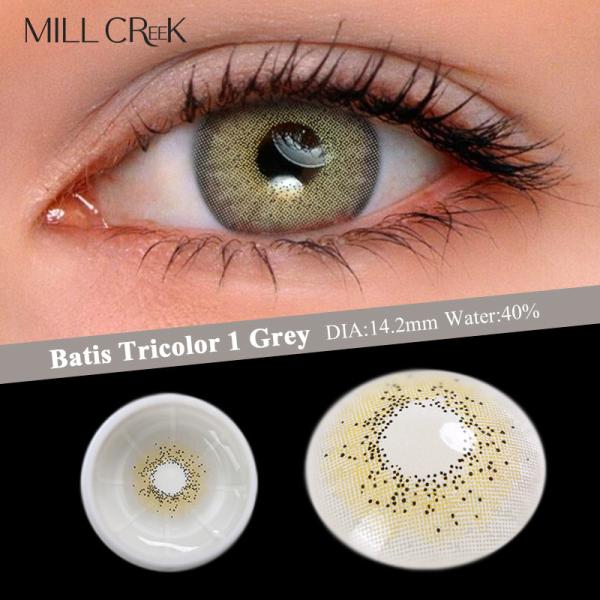 Hortelã Gray Contact Lens For Costume Cosplay da prescrição de ISO13485 14.2mm não