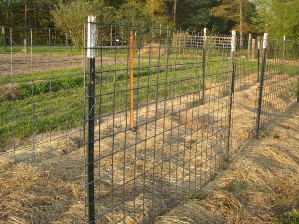 BBQ Area Chain Link Fence Fire Safety