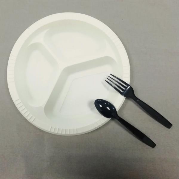10 inch eco-friendly bioplastic plates for parties, church festivals, carnivals, school fairs